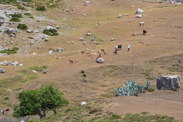 Shepherds in Morocco stock photo