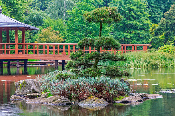 istock Fragment of a japanese garden 499492685