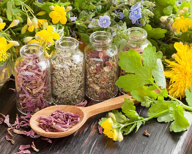 healing herbs in glass bottles, healthy plants and wooden spoon, herbal medicine