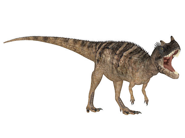 istock Illustration of a Ceratosaurus 499493415