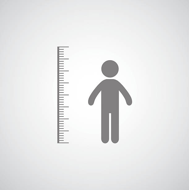 height measurement height measurement symbol on gray background human height stock illustrations