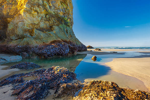 Huge Intertidal rocks at low tide casting a shadow on tide pool on Arcadia Beach at the Oregon Coast.