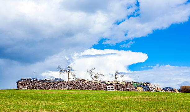landscape with dark clouds, stapled wood and heavy rain