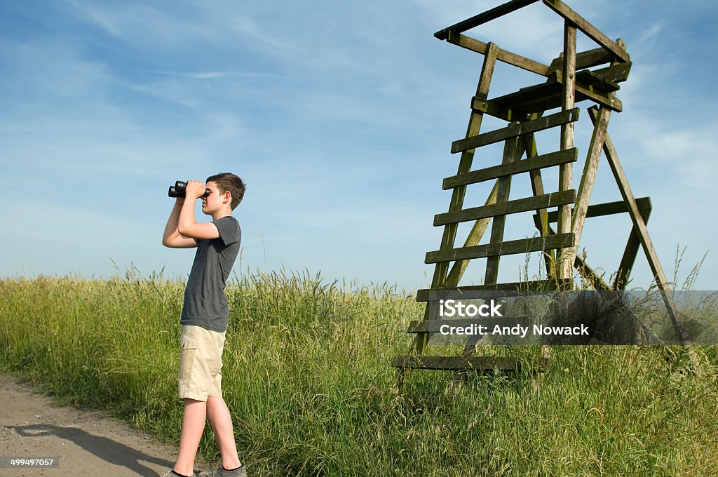 boy look over the field lateral three-quarter view of a 13 year old male teenager in summer on an old hunter high standing and a cereal box looking 14-15 Years Stock Photo