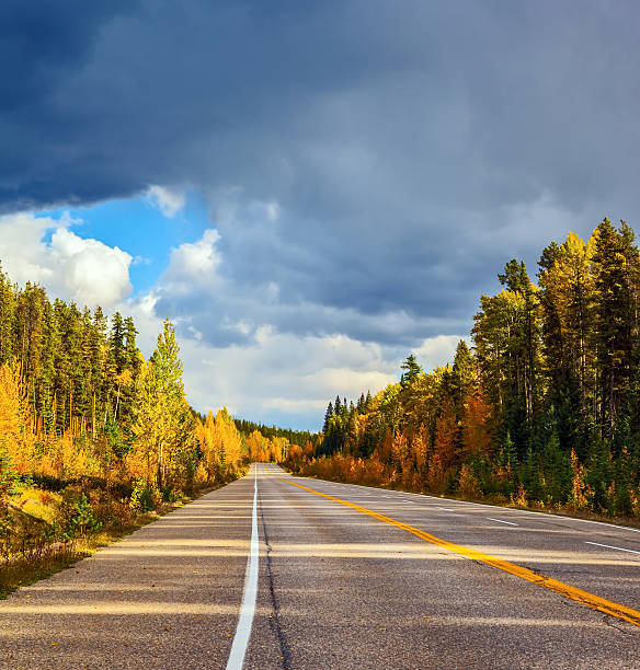 istock Road and yellow autumn forest 499506172