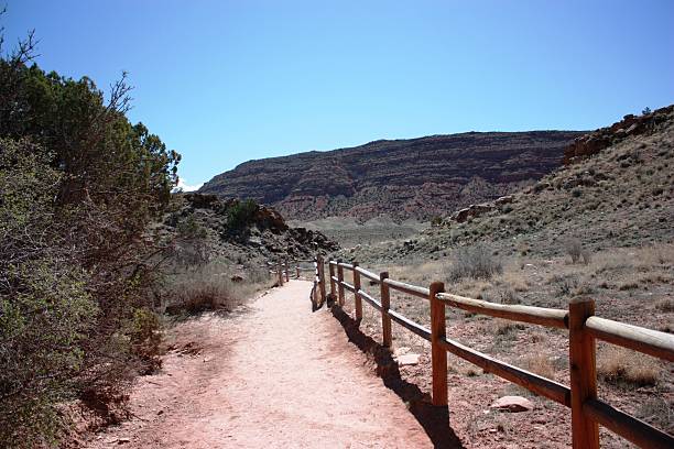 Hiking path to Upper Delicate Arch Viewpoint, Arches National Park Hiking path to the Upper Delicate Arch Viewpoint in the Arches National Park, Utah USA low viewing point stock pictures, royalty-free photos & images