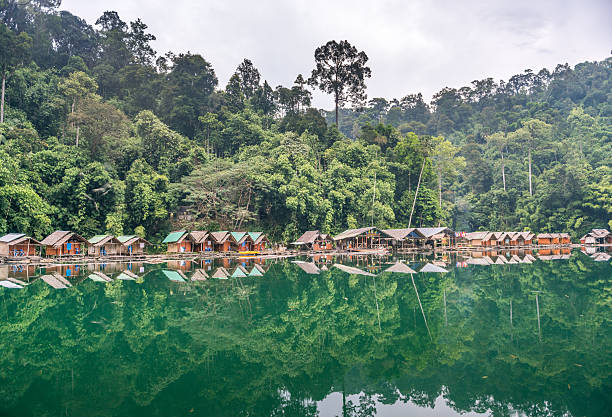 istock Rainforest Jungle Huts, Khao Sok National Park, Thailand 499509682