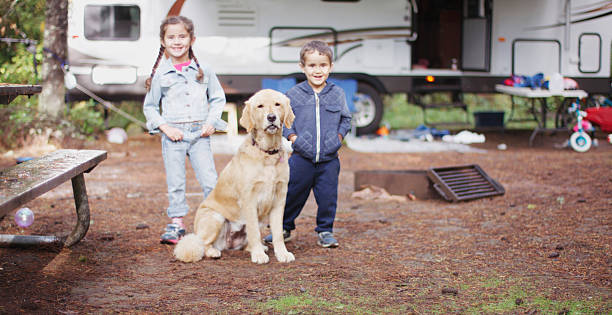 wybierasz się na wycieczkę w lesie kempingowe - class a motorhome zdjęcia i obrazy z banku zdjęć