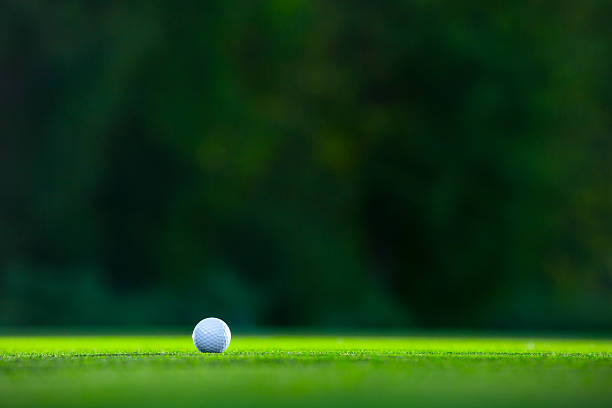 Ball Golf ball on a lawn golf course stock pictures, royalty-free photos & images