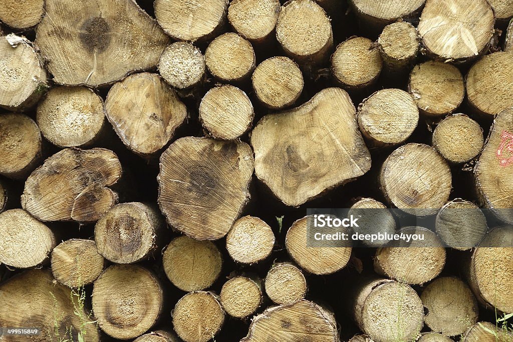 Scie partie bois - Photo de Arbre libre de droits