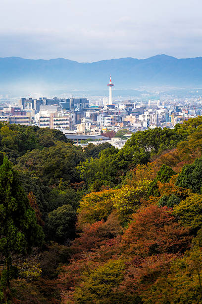 istock Kyoto city in autumn 499517518