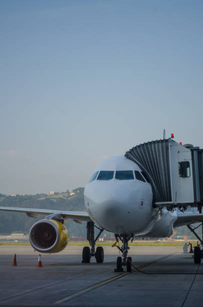 Plane in the distance