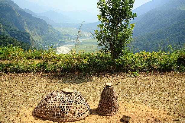 vime cestos de aves de capoeira.  phedi-dahmpus trek.  nepal. 0467 - nepal landscape hiking rice imagens e fotografias de stock