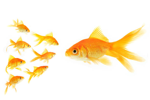istock Standing Up Together - Teamwork - Small Can Beat Big 499518759