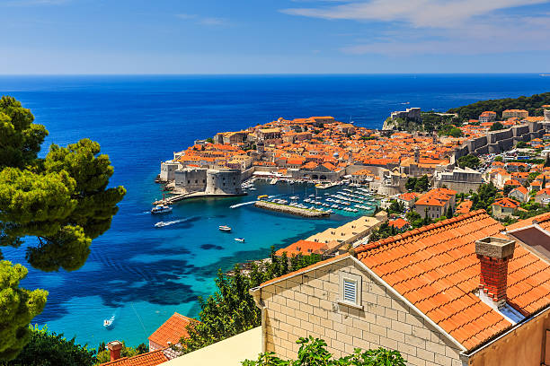 Dubrovnik, Croatia A panoramic view of the walled city, Dubrovnik Croatia dubrovnik photos stock pictures, royalty-free photos & images