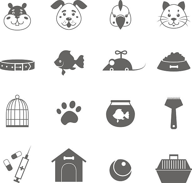 Grey pet icons set Grey pet icons set of 16 elements pet toy stock illustrations