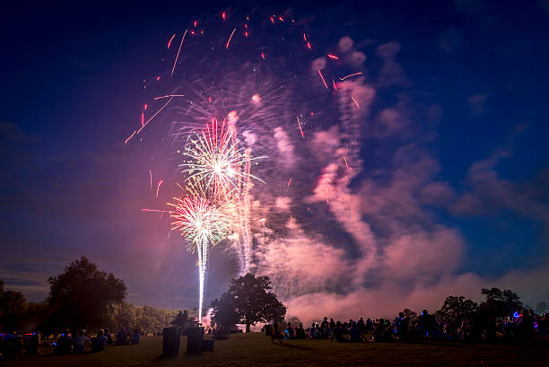 istock People looking at fireworks in honor of Independence Day 499519152