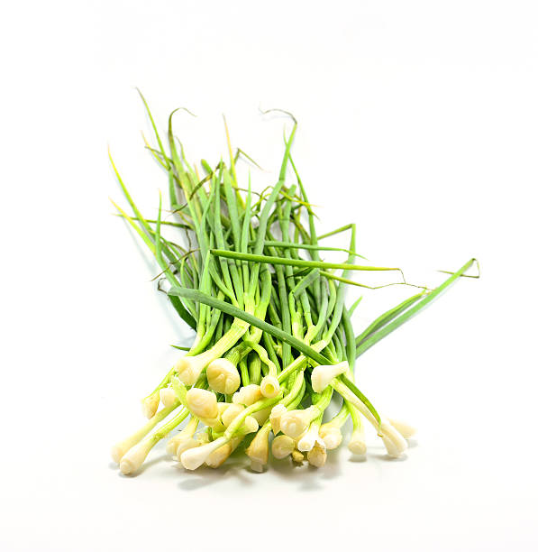 istock Young green onions isolated on white background 499519373