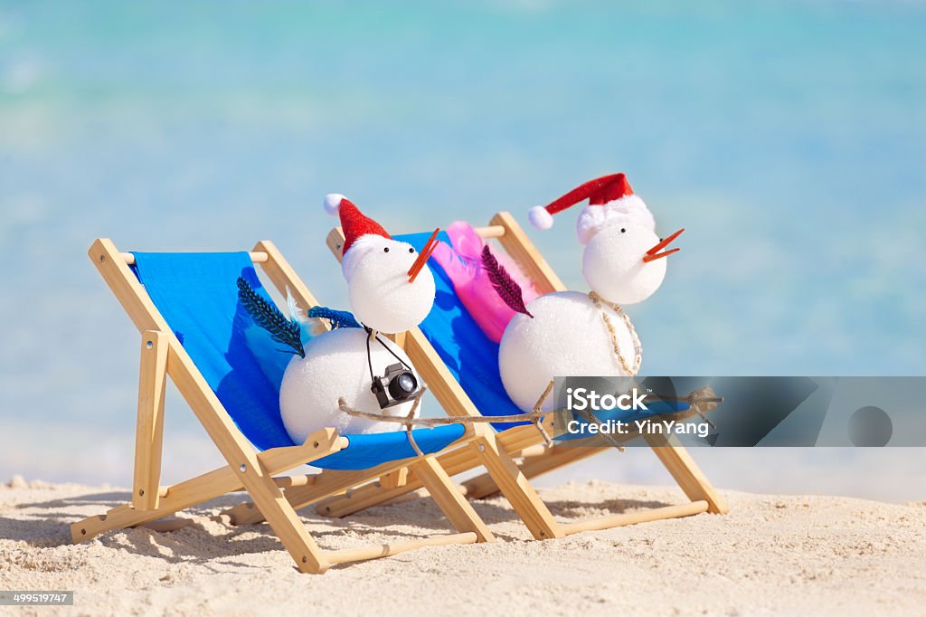 Snowbird para podziwiając tropikalnej plaży Boże Narodzenie wakacje przez Morze Karaibskie - Zbiór zdjęć royalty-free (Ameryka Łacińska)