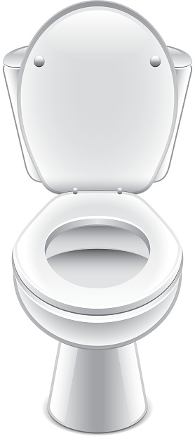 Toilet bowl vector illustration