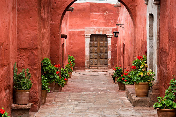 flora en monasterio de santa catalina (monasterio de santa catalina - santa catalina monastery fotografías e imágenes de stock