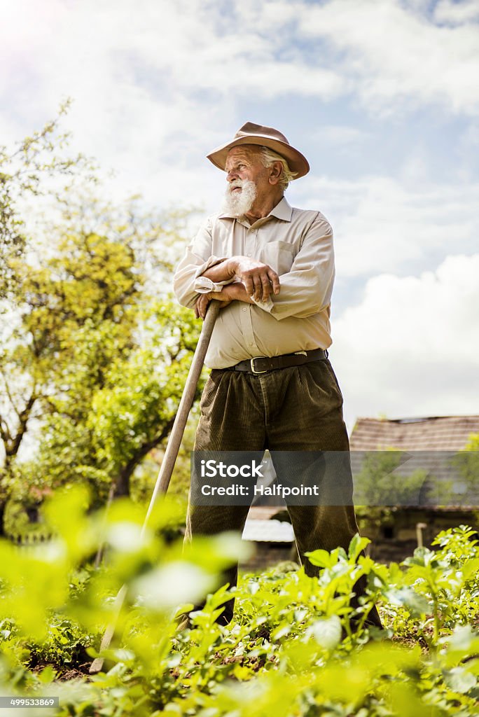 Old farmer on the meadow Old farmer with a hoe is having break from weeding Active Seniors Stock Photo