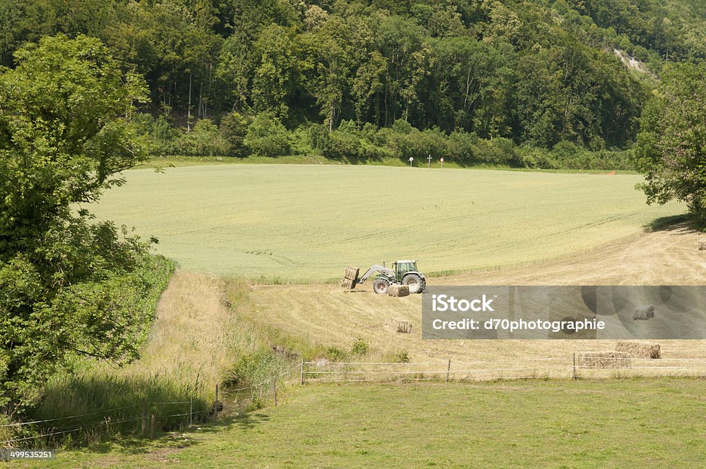 Fenaison - Foto de stock de Aire libre libre de derechos