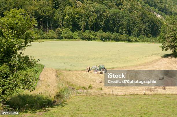 Fenaison Foto de stock y más banco de imágenes de Aire libre - Aire libre, Arroz - Comida básica, Arroz - Grano