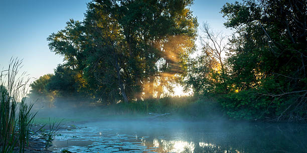 istock Dawn at the small lake 499535770
