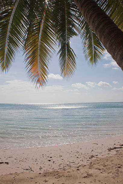 istock Tropical beach No. 5 on Havelock island 499536389