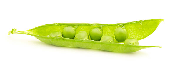pea pod isoliert - green pea pea pod sweet food freshness stock-fotos und bilder