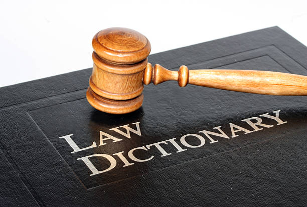 istock Law dictionary and gavel on white background 499538541