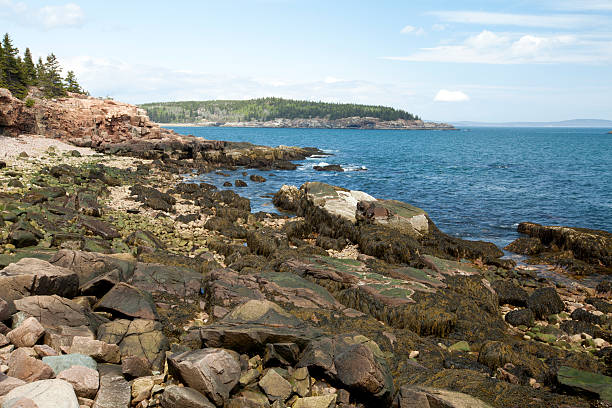 istock Thunder hole in Acadia National Park at Maine 499538887