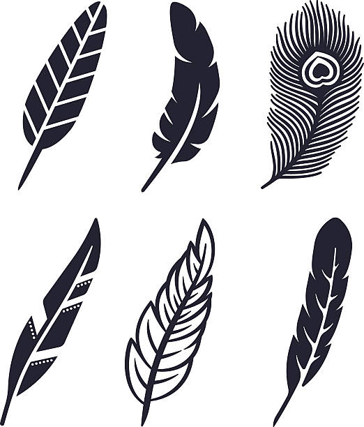 Feather Symbols Six unique feather symbol, silhouette and icon concepts. peacock feather drawing stock illustrations