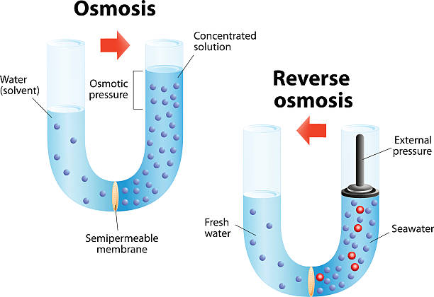 Osmosis And Reverse Osmosis Stock Illustration - Download Image Now -  Osmosis, Water, Chemistry - iStock