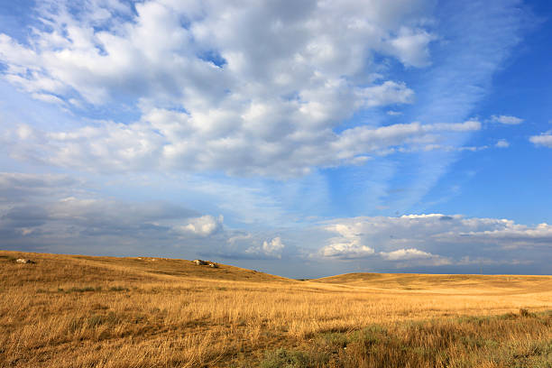 istock yellow meadow im nountains 499539293