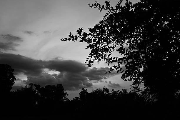istock B&W Cloudy Farmland 499539795