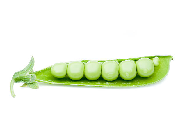 grüne erbsen pod - green pea pea pod sweet food freshness stock-fotos und bilder