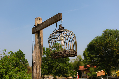 bird cage lamp on wooden post