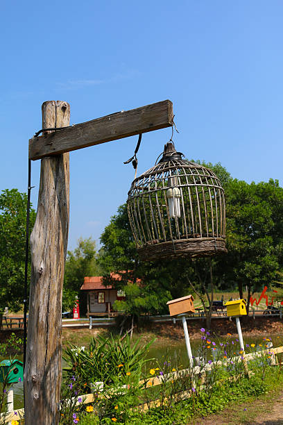 bird cage lamp on wooden post