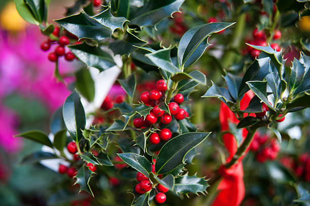 istock Christmas tree and Christmas decorations 499544978