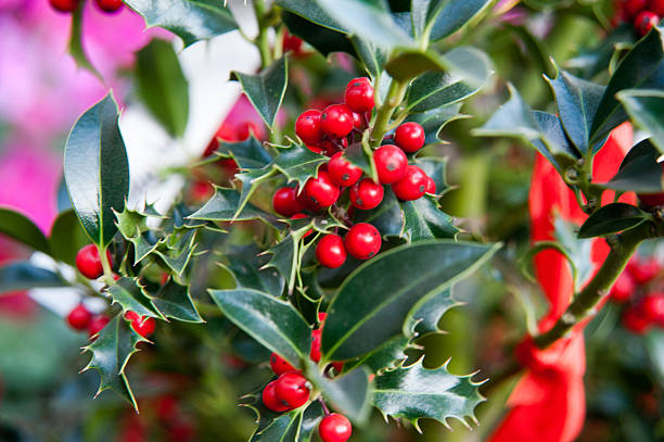 istock Christmas tree and Christmas decorations 499545048