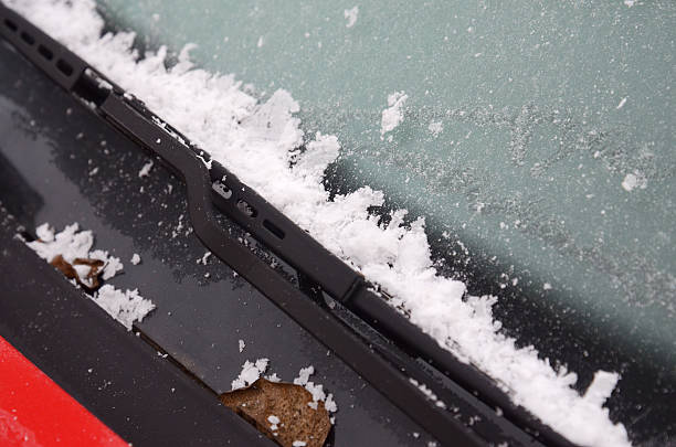 istock car wiper with frost 499547134