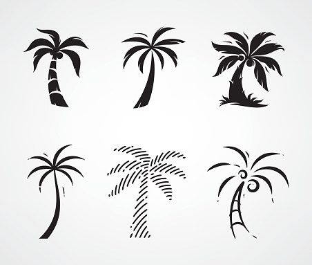 Palm tree set