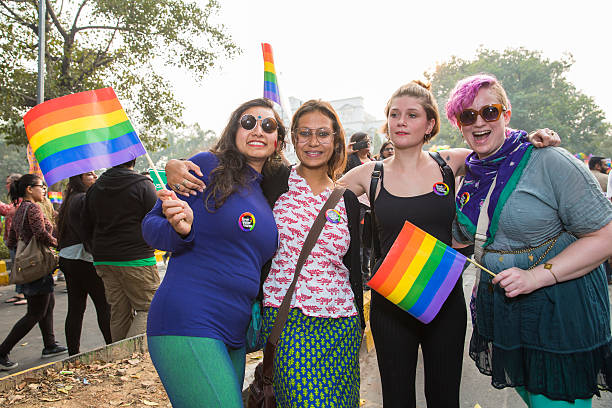 queer pride -2015 delhi - gay pride flag gay pride gay man homosexual photos et images de collection