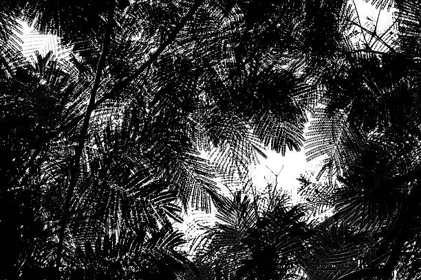 istock Abstract pattern from silhouettes of leaves 499550544