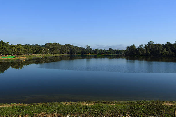 istock Nature of Cambodia 499550832