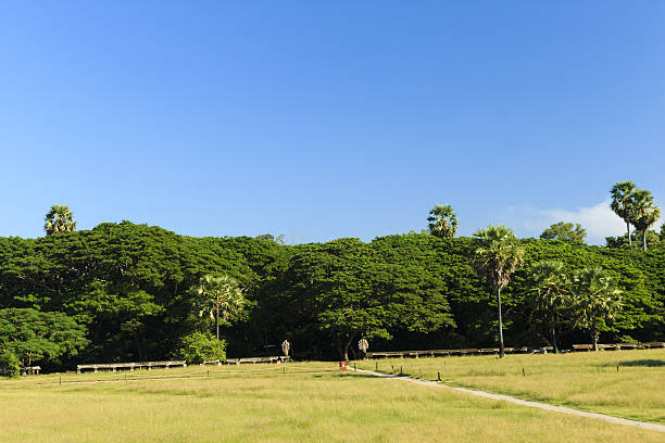 istock Nature of Cambodia 499550870