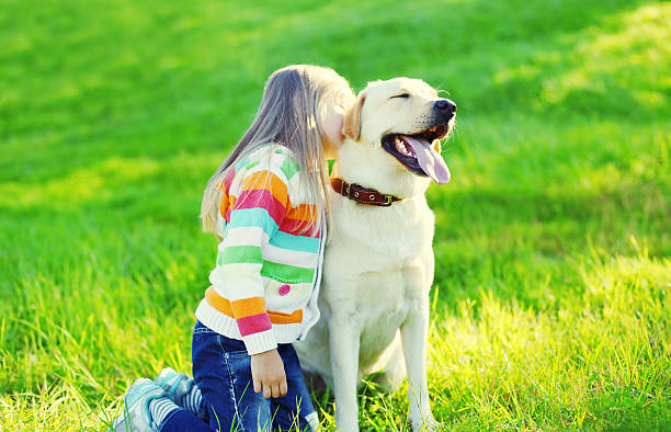 istock Happy little child with labrador retriever dog on grass 499551014