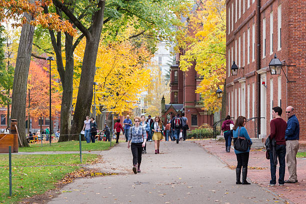 Harvard campus with brilliant fall foliage Cambridge, MA, USA - November 2, 2013: Harvard Yard, old heart of Harvard University campus, on a beautiful Fall day in Cambridge, MA, USA on November 2, 2013. cambridge massachusetts stock pictures, royalty-free photos & images